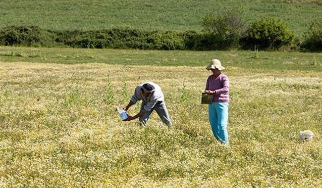 Είστε άνεργος ή αγρότης: Δείτε αν δικαιούστε δωρεάν στρέμματα γης