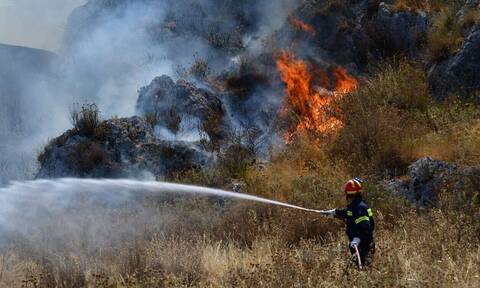 Υπό μερικό έλεγχο η μεγάλη πυρκαγιά στην Ηλεία