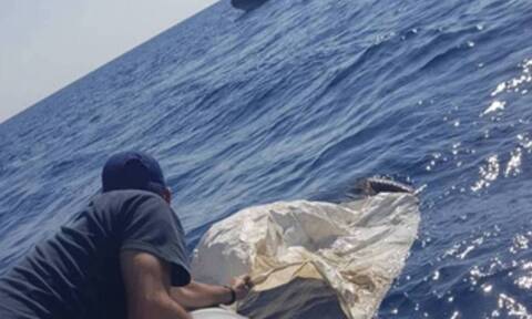 Κρήτη: Έσωσαν τραυματισμένο όρνεο από τη θάλασσα (photos)