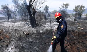 Μεγάλη φωτιά στο Συκάμινο Ωρωπού - Ισχυρές πυροσβεστικές δυνάμεις στο σημείο