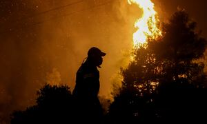 Πάτρα: Νύχτα αγωνίας για τη φωτιά που κατακαίει τη Δροσιά - Επιχειρούν 180 πυροσβέστες