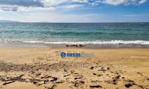 Συναγερμός στη Νάξο: Βρέθηκαν δύο πτώματα σε παραλίες του νησιού