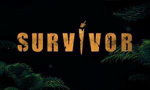 Survivor Spoiler 12/3: Η στρατηγική χτυπάει «κόκκινο» μετά την αποχώρηση του Σάββα
