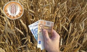 Αγροτικές επιδοτήσεις: Μεγάλη πληρωμή 245 εκατ. ευρώ σε συνδεδεμένες ενισχύσεις από τον ΟΠΕΚΕΠΕ